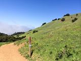 04-A Mt Tamalpais State Park